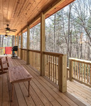 STR 79 Chimney Top Trl-36