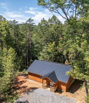 STR 79 Chimney Top Trl-51