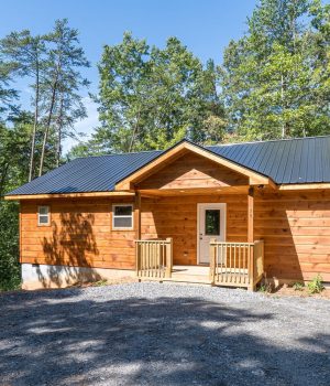 STR 79 Chimney Top Trl-54